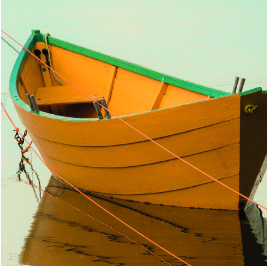 barque peinte avec des dispersions pigmentaires